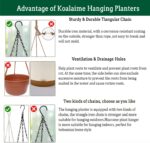 Koalaime Hanging Planters for Indoor Plants, 2 Pack 10 Inch Self Watering Pots w... - Image 6