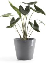 Ecopots Amsterdam Durable Modern Round Indoor/Outdoor Recycled-Based Composite F... - Image 6