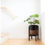 D'vine Dev Ceramic Planter with Walnut Color Stand - 8 Inch Modern Round Flower ... - Image 3