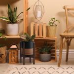D'vine Dev Ceramic Planter with Walnut Color Stand - 8 Inch Modern Round Flower ... - Image 7