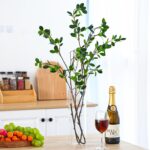Fixwal Set of 2 Clear Tall Glass Cylinder Vases for Centerpieces, 12 x 4 Inch Ta... - Image 6