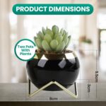 Set of 2 Artificial Succulents in Ceramic pots with Elegant Iron Frames and Deli... - Image 4