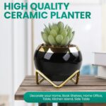 Set of 2 Artificial Succulents in Ceramic pots with Elegant Iron Frames and Deli... - Image 5