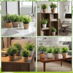 Suncalla 4 Pcs Small Woven Artificial Plants Boho Potted Fake Plants Mini Plasti... - Image 5