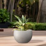 Kante 15.7" Dia Round Concrete Planter, Outdoor/Indoor Large Bowl Plant Pots wit... - Image 4