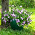 Sunnydaze Large Ceramic Plant Pot - Round Outdoor Glazed Ceramic Planter Pot wit... - Image 7