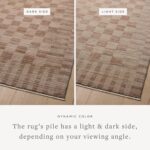 Loloi Amber Lewis Cali Collection CIL-06 Brick/Natural 6'-7" x 9'-2" Area Rug - Image 4