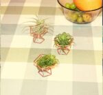 Geometric Air Plant Holder Airplants Rack Metal Plants Stand Planter Shelves Him... - Image 6