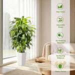 5FT Fake Plant Artificial Dracaena Tree Indoor - Faux Plants Indoor Tall with Wh... - Image 5