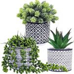 Winlyn 3 Pcs Small Potted Succulents Plants Artificial String of Pearls Aloe Hop... - Image 3