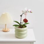 Ceramic Plant Pot Indoor, 4.5 Inch Flower Pot with Drainage Hole, Small Bubble D... - Image 3