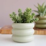 Ceramic Plant Pot Indoor, 4.5 Inch Flower Pot with Drainage Hole, Small Bubble D... - Image 7