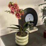 Ceramic Plant Pot Indoor, 4.5 Inch Flower Pot with Drainage Hole, Small Bubble D... - Image 8