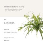 Natural Touch Fake Spider Plant - 32" - Image 3