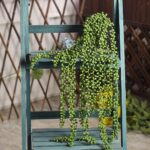CEWOR 4pcs Fake Hanging Plants, String of Pearls Artificial Hanging Succulents G... - Image 6