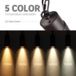 LEONLITE 5CCT Low Voltage Hanging Landscape Lights, 12V Hanging Tree Lights, ETL... - Image 3