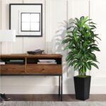 Artificial Dracaena Tree 5FT - Fake Tree with Black Tall Planter - Faux Yucca Ta... - Image 4