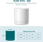 vancasso Ceramic Plant Pots, 6.25 Inch Ceramic Pot for Plants, Planters Pots for... - Image 3