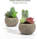 Succulents Plants Artificial 4 Pack, Mini Fake Succulents in Pots, Assorted Smal... - Image 4