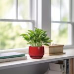 G EPGardening Ceramic Pots for Plants - 4 inch Succulent Pots Indoor Outdoor, Sm... - Image 6