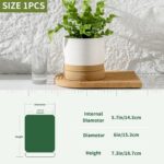 HASENSE Ceramic Plant Pot with Saucer, 6 Inch Planter for Indoor Plants with Dra... - Image 3