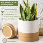 HASENSE Ceramic Plant Pot with Saucer, 6 Inch Planter for Indoor Plants with Dra... - Image 5
