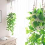 Mkono Fake Hanging Plant with Pot, Artificial Plants for Home Decor Indoor Macra... - Image 3