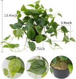 LOYWREE Artificial Scindapsus Aureus Fake Pothos Plants in Black Pots - Realisti... - Image 3