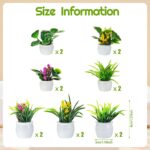 Skylety 14 Pcs Miniatures Dollhouse Plants and Flowers Minature Dollhouse Access... - Image 3