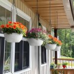 T4U Plastic Hanging Baskets 2-Pack - 12 Inch Large Hanging Flower Planter with D... - Image 6