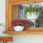 T4U Plastic Hanging Baskets 2-Pack - 12 Inch Large Hanging Flower Planter with D... - Image 8