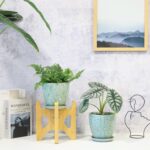 6 Inch Retro Ceramic Planter Set of 2 with Drainage Hole and Saucer for Plants, ... - Image 5