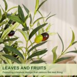 VIVATREES Olive Trees Artificial Indoor, 6FT Tall Faux Olive Tree with White Tal... - Image 5