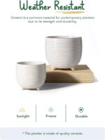 LE TAUCI Ceramic Plant Pots, 5.1 + 6.4 Inch Footed Pots for Plants, Modern Flowe... - Image 4