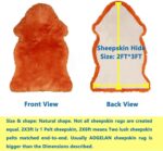 AOGELAN Orange Premium Genuine Sheepskin Rug, Genuine Sheepskin Natural Lambskin... - Image 3