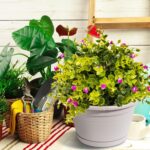 4 Pcs Hanging Planters,10" Hanging Pots Plastic Hanging Flower Plant Basket with... - Image 6