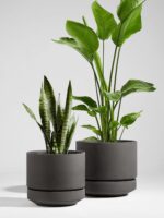 LE TAUCI 14 Inch Large Plant Pot with Saucer, Ceramic Outdoor & Indoor Big Plant... - Image 3