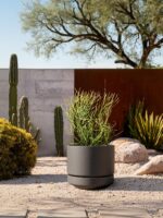 LE TAUCI 14 Inch Large Plant Pot with Saucer, Ceramic Outdoor & Indoor Big Plant... - Image 5