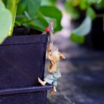 Top Collection 4383 Miniature Fairy & Terrarium Garden Pixie Flower Pot Hugger S... - Image 4
