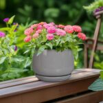 G EPGardening Ceramic Pot for Plants - Modern 6 Inch Round Planter Indoor with D... - Image 5
