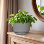 G EPGardening Ceramic Pot for Plants - Modern 6 Inch Round Planter Indoor with D... - Image 8