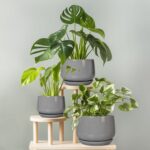 G EPGardening Ceramic Pot for Plants - Modern 6 Inch Round Planter Indoor with D... - Image 9