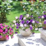 Ammyoo Artificial Fake Flowers Plants for Outdoor Decoration, 2PCS Faux Petunias... - Image 5