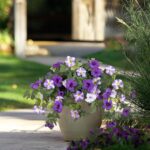 Ammyoo Artificial Fake Flowers Plants for Outdoor Decoration, 2PCS Faux Petunias... - Image 10