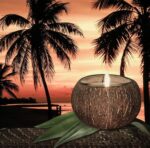 Coconut Bowl Candle – 14oz Premium Soy – Wood Wicked Coconut Scented Candle – Na... - Image 5