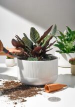 Ceramic Planters - 10+12 Inch Large Pots for Indoor & Outdoor Plants, Modern Flo... - Image 5