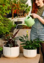 Ceramic Planters - 10+12 Inch Large Pots for Indoor & Outdoor Plants, Modern Flo... - Image 9