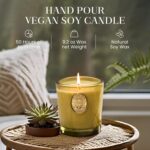 M&SENSE Natural Strong Soy Candle | Sandalwood Jasmine & Green | 9.2 oz, 50H Bur... - Image 4