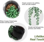Tiita Artificial Hanging Plants, Faux Succulents in Pots, Realistic String of Pe... - Image 3