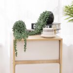 Tiita Artificial Hanging Plants, Faux Succulents in Pots, Realistic String of Pe... - Image 7